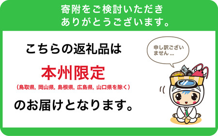 伊勢エビ 天然 活き 伊勢海老 総量1kg 活 伊勢えび イセエビ えび エビ 海老 mi0020-0001