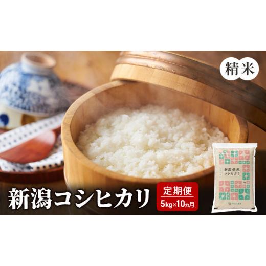 ふるさと納税 新潟県 新潟市 新潟コシヒカリ　精米5kgを10か月連続お届け