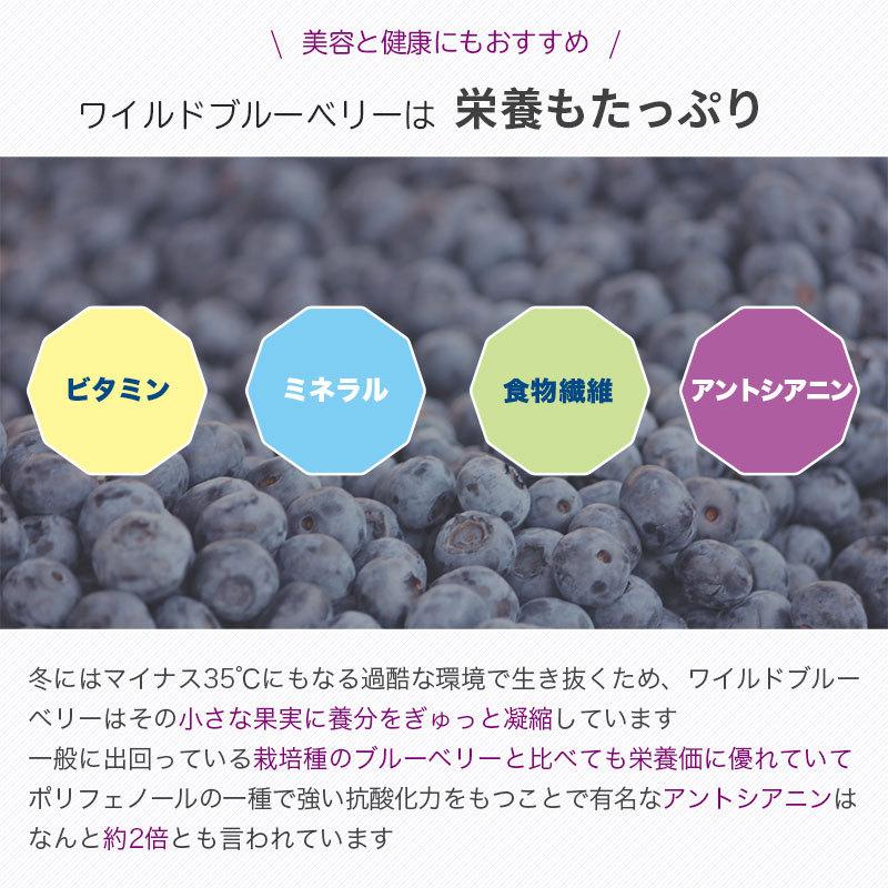 ドライフルーツ ワイルドブルーベリー ドライブルーベリー ノンオイル 野生種 ブルーベリー 200g 油不使用