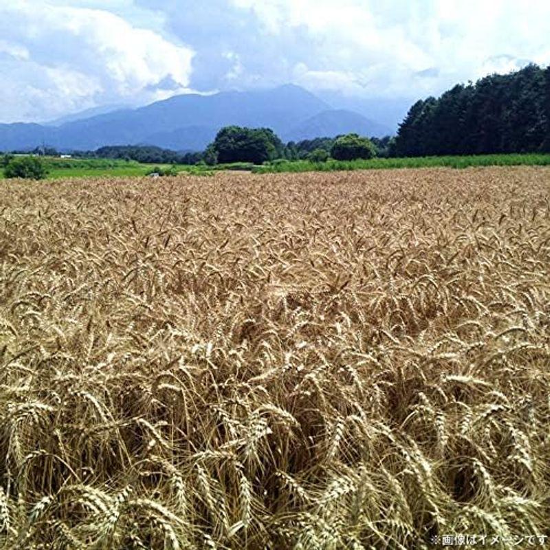 山梨伝統料理 山梨郷土料理 戦国ほうとうみそ付きセット（麺300ｇ×2 みそ100ｇ×2）×2パック 横内製麺