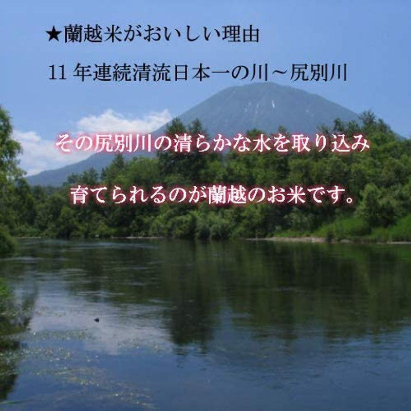 精米ななつぼし 5ｋｇ4年産 北海道蘭越産