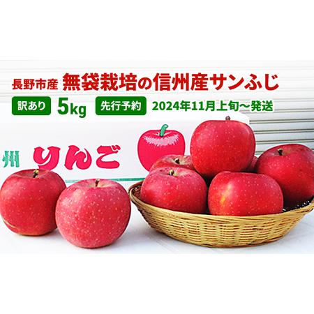 ふるさと納税 先行予約 長野市産無袋栽培の信州産サンふじ5kg（訳あり）2024年発送 長野県長野市