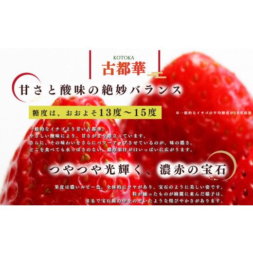 ふるさと納税 奈良県 平群町 いちご 平群の古都華 4L 〜 5L サイズ （2パック×2回）計4パック 扇田農園