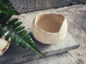 白陶之舞盆器 / 白堊紀恐龍蛋花盆 - 雪白椰子