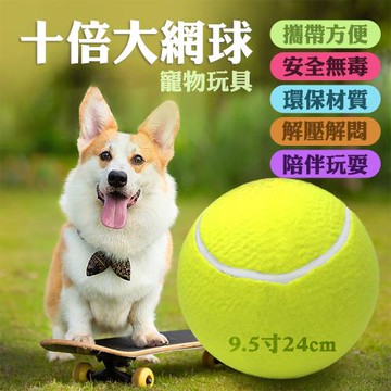 CS22 9.5寸充氣大網球寵物玩具球