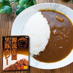 ご当地 レトルトカレー 埼玉 源流花園 黒豚カレー 中辛 1人前 200g入 ×10箱 セット 贈答 ギフト にも