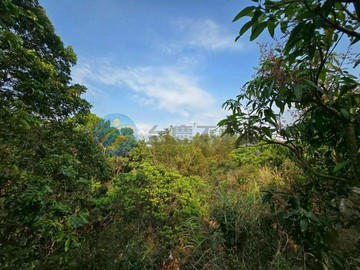 楠西照豐產業道路超便宜1分50萬休閒農牧用地｜台南市楠西區??萊宅段