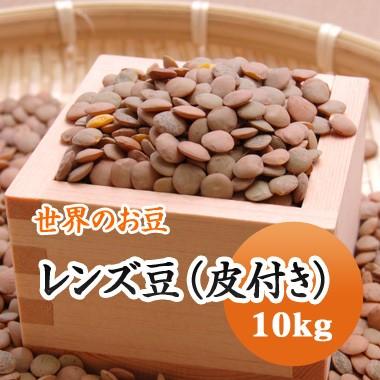 豆 レンズ豆 ブラウン 皮付き 送料無料　アメリカ産 10kg