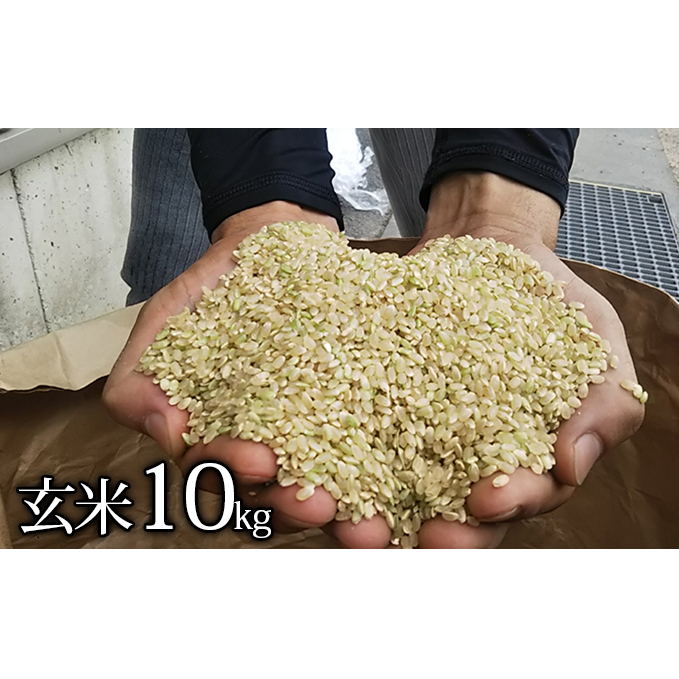 はなまる農園令和5年新米香川県産「コシヒカリ（玄米）10kg」