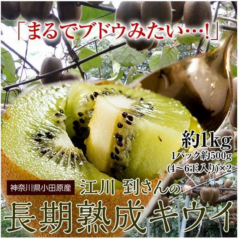 市場 ドライフルーツ キウイフルーツ １パック 観音山フルーツガーデン市場店