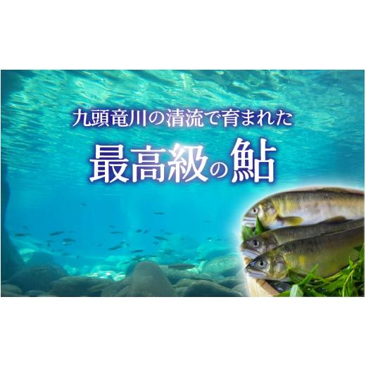 ふるさと納税 福井県 永平寺町 鮎開き一夜干し焼き 2〜3尾 [A-016007]