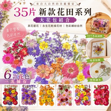 35片新款花田系列 大花包組合 真花壓花 永生花 森林系 少女寫真 壁畫 DIY水晶滴膠 乾燥花