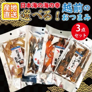 越前のおつまみ 選べるおつまみ3点セット  珍味 乾物 酒の肴 お酒のおつまみ 晩酌セット ギフト取り寄せ グルメ