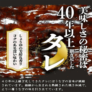 大型サイズ 　ふっくら柔らか国産うなぎ蒲焼き　1尾（約2人前）化粧箱入