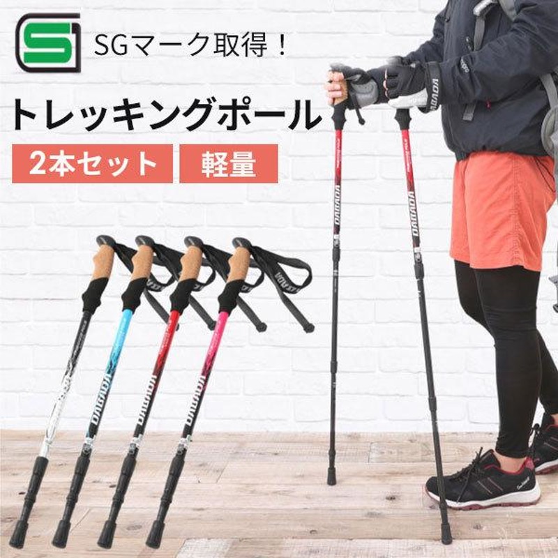 LEKI　ウォーキングトレッキングポール　トラベラー　スペースカーボン