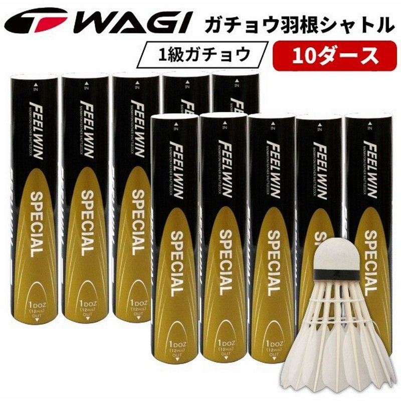 メール便無料】 10ダースセット専用 - バドミントン - hlt.no