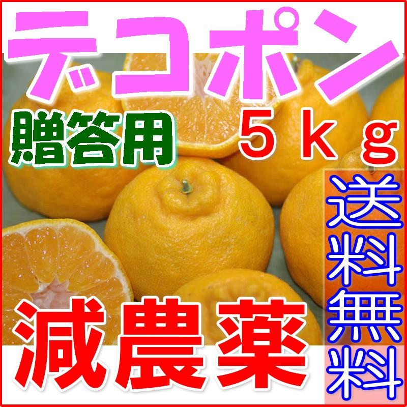 愛媛 減農薬 デコポン 約5kg A品 サイズ混合 産地直送 ore 大三島 でこぽん