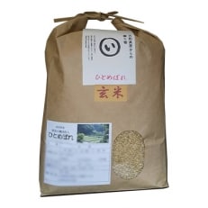 令和5年産　奈良県産　ひとめぼれ　玄米　10kg(5kg×2袋)