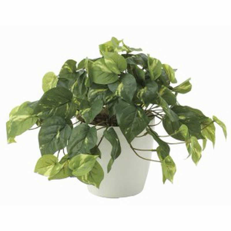 フレッシュポトス 人工観葉植物 高さ30cm 光触媒 641a50 店舗用品 光触媒 人工観葉植物 造花 フェイクグリーン テーブル 卓上 用 通販 Lineポイント最大1 0 Get Lineショッピング