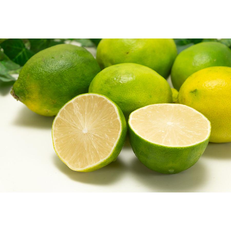 有機レモン(璃の香) A品サイズ混合 3kg 有機JAS (佐賀県 佐藤農場株式会社) 産地直送
