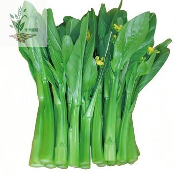 青禾園藝（甜脆菜心）四季菜心種子 油菜花種子青甜菜種子粗條小青菜種子四季播種農家蔬菜種子#葉菜#台灣自留種