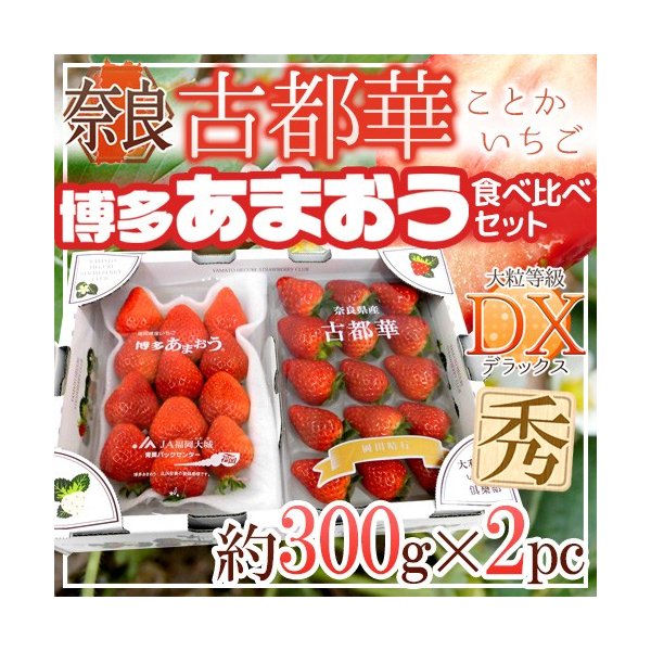 奈良・福岡県産 ”博多あまおう＋古都華いちご 食べ比べセット” 2pc 送料無料