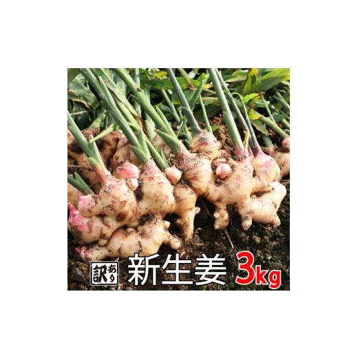 ふるさと納税 愛媛県 愛南町 訳あり 生姜 約3kg 尾?農園 不揃い 減農薬 しょうが 薬味 野菜 紅茶 ガリ チューハイ おつまみ 健康  国産 愛媛県 愛南町