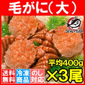 送料無料 毛ガニ 毛蟹 浜茹で毛がに姿 400g前後×3尾 ボイル 冷凍 北海道産 最高級 堅蟹 