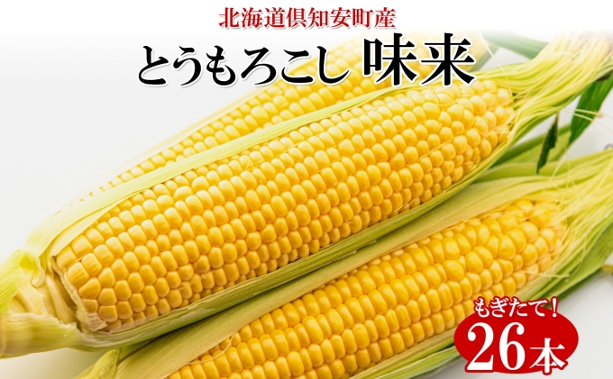 北海道産 朝もぎ イエロー とうもろこし 味来 みらい 2Lサイズ 26本 約10kg 夏野菜 とうきび 新鮮 野菜 トウモロコシ 甘い ギフト 産地直送 コーン 産直 グリーンアースファーム