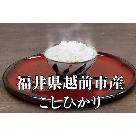 ふるさと納税 令和5年度産新米 こしひかり 6kg 福井県越前市