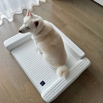 LINGO｜涼感寵物沙發床2.0（M）