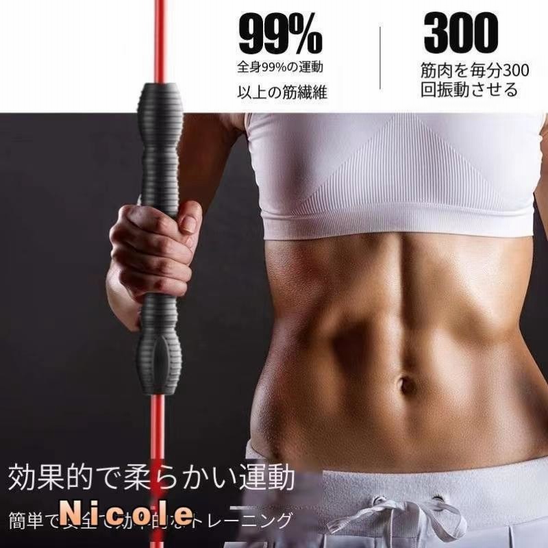 エアロバー エクササイズ フィットネス トレーニング 筋トレ