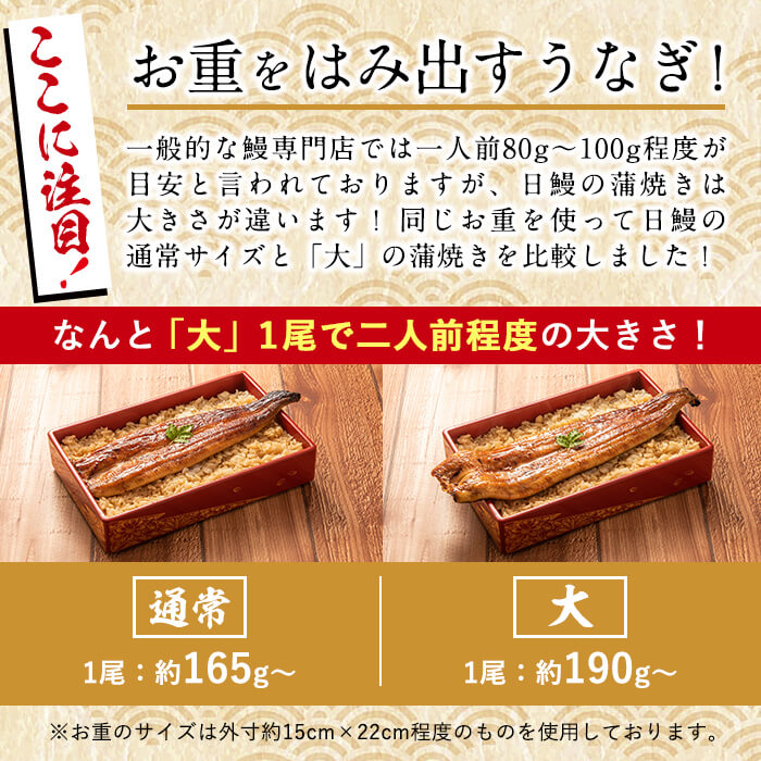 日ノ本一の鰻の蒲焼き＜大＞5尾セット(計950g以上) d2-004