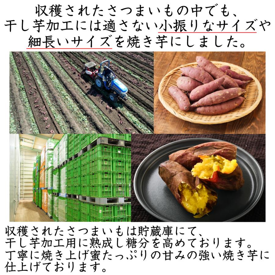 幸田商店 茨城県産 送料無料 [べにはるか冷凍焼き芋500g×6袋] 