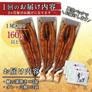 ふるさと納税 2ヵ月に1回お届け！くすだ屋の極上うなぎ(160g×3尾)×3回＜計9尾・1440g以上＞ t007-007 鹿児島県志布志市