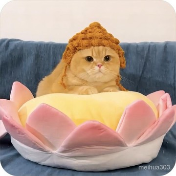 【嘉義熱賣】貓咪佛祖頭套搞笑手工編織寵物狗狗變裝帽模仿帽英短美短貓頭飾品 TNEP