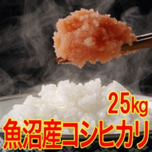 送料無料(北海道・九州・沖縄除く) 令和5年産 新米 最高級！魚沼十日町