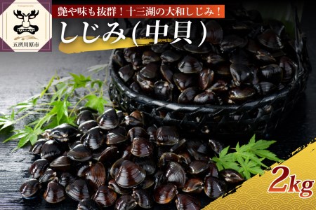 十三湖産 大和しじみ（中貝）2kg（冷凍・砂抜き済）