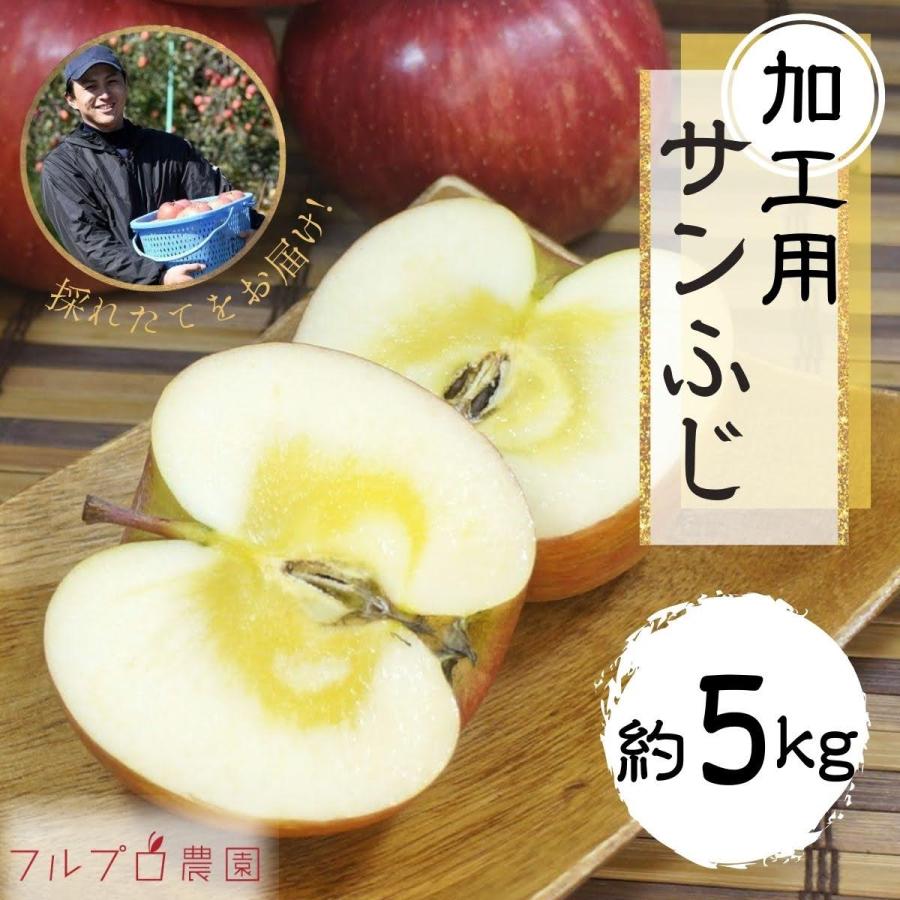 サンふじ約5kg(12-28玉) 11月中旬頃から発送開始予定  長野県産  送料無料 #YAF0K050