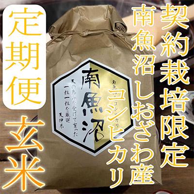 ふるさと納税 南魚沼市 生産者限定 南魚沼しおざわ産コシヒカリ全12回