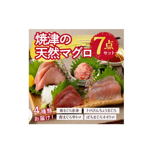 ふるさと納税 静岡県 焼津市 a10-589　焼津 天然 南 鮪 まぐろ マグロ 7点 セット