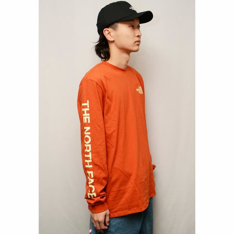 ザ ノースフェイス ロンT THE NORTH FACE L/S SLEEVE HIT GRAPHIC TEE