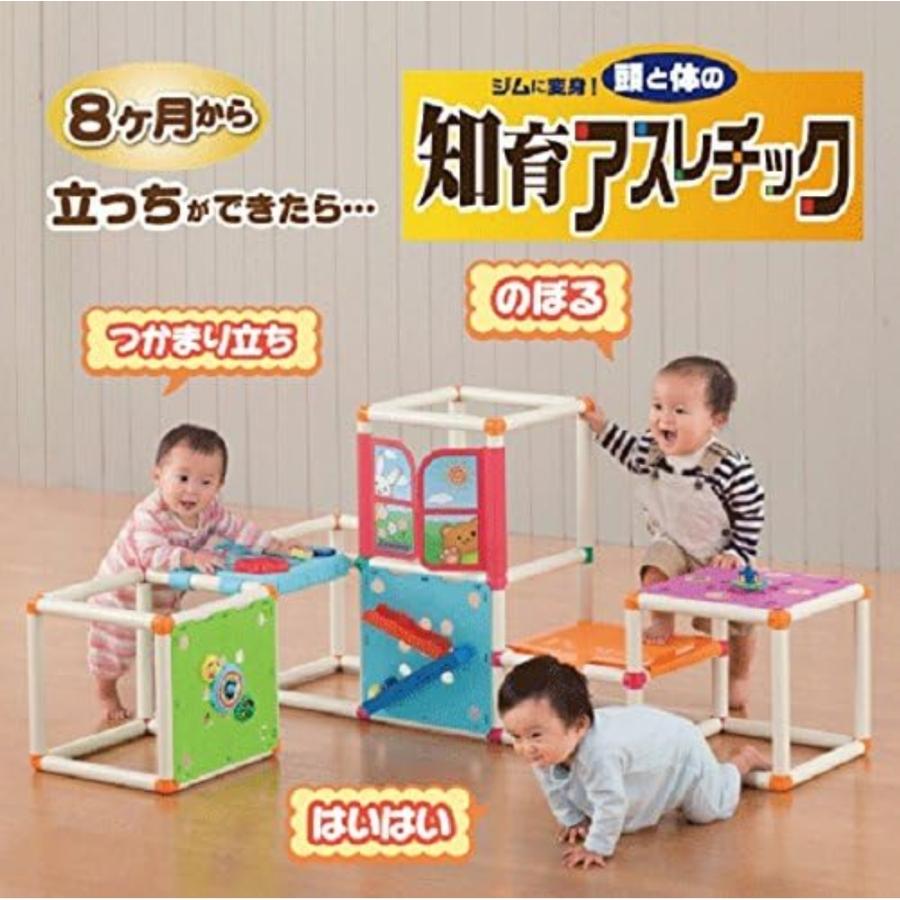 トイザらス限定 頭と体の知育アスレチック プレミアム