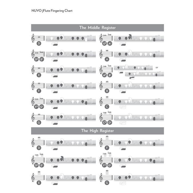 NUVO jFlute jフルート N220JFPK