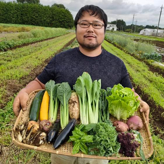 販売期間2024 04 30まで 野菜 セット・詰め合わせ 今が旬のこだわり野菜セット 産地直送