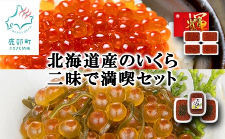  北海道産のいくら二味で満喫セット（計760g）