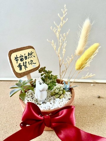 多肉組盆 多肉植物 日式枯山水 微景觀系列 Moomin 姆明 嚕嚕米