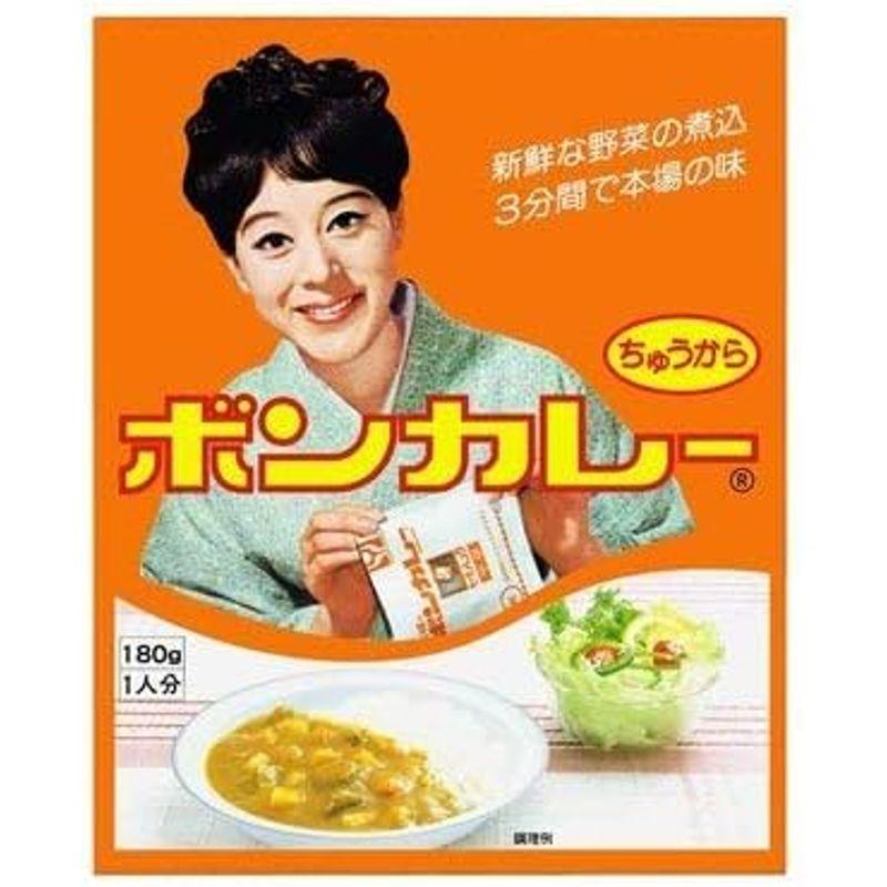 沖縄限定版ボンカレー中辛10パックセット