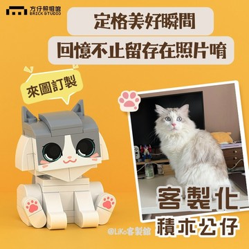 【方仔照相館】客製化積木｜貓咪客製化積木公仔｜寵物客製化積木｜紀念禮｜生日禮｜盲盒驚喜生日禮物｜來圖訂製閃電出貨限時下殺