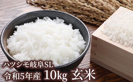 ハツシモ岐阜SL 令和5年産 10kg 玄米